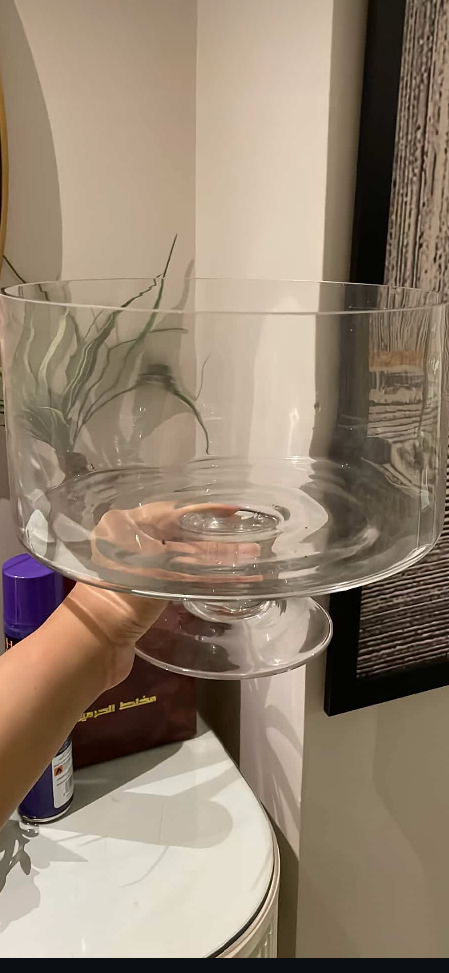Triffle Bowl